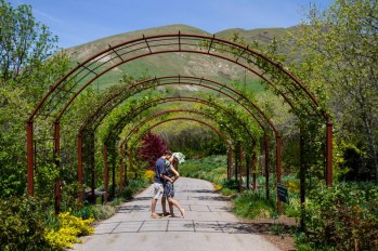 945626_4824885071436_717424465_n