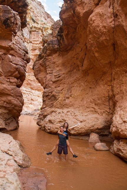 11953445_10204617463187946_7911410732241579561_o