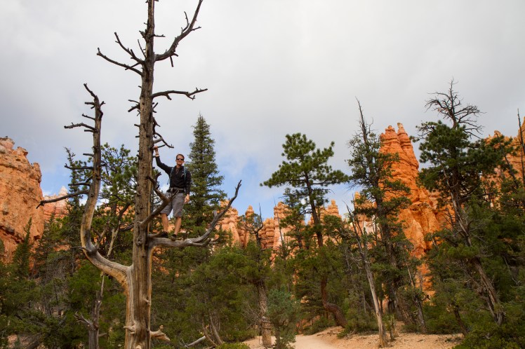 BryceCanyonNtlPark_022