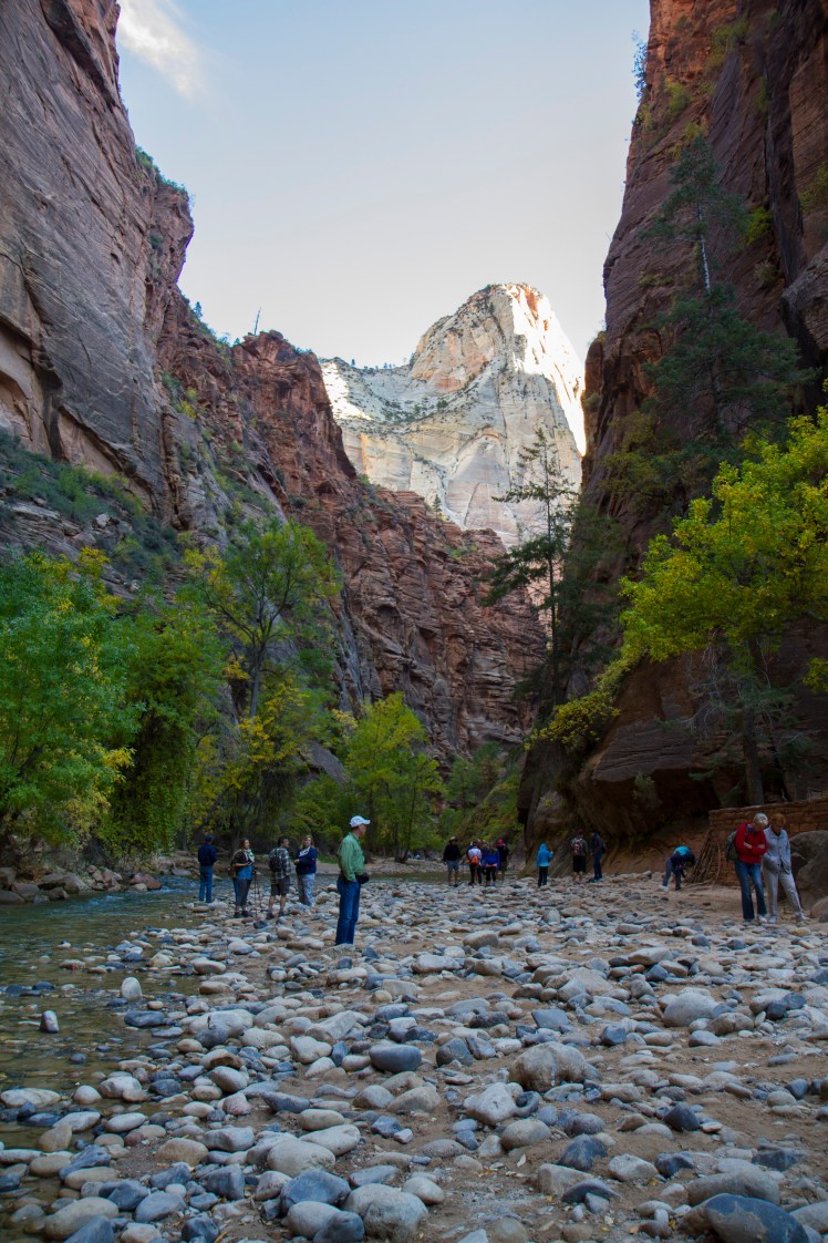 ZionNP_017
