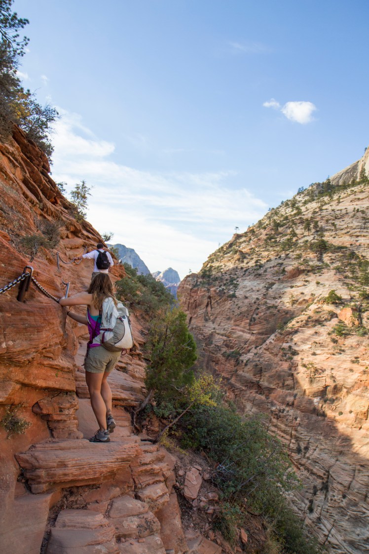 ZionNP_243