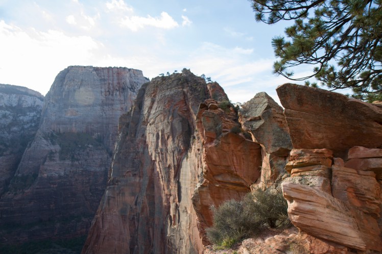 ZionNP_244
