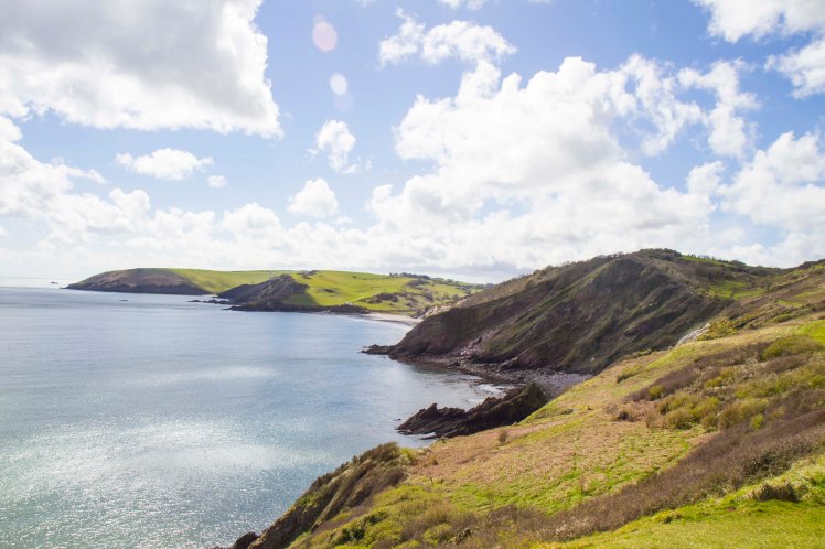 BrixhamBerryHead_001