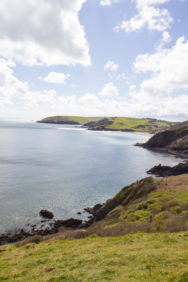 BrixhamBerryHead_004