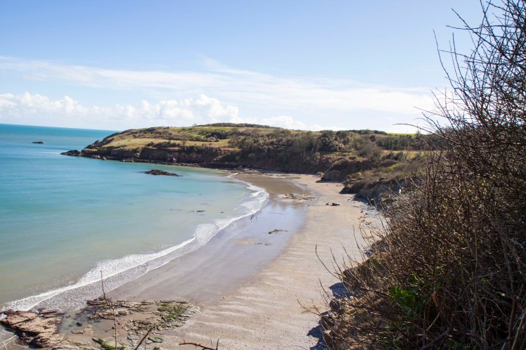 BrixhamBerryHead_021