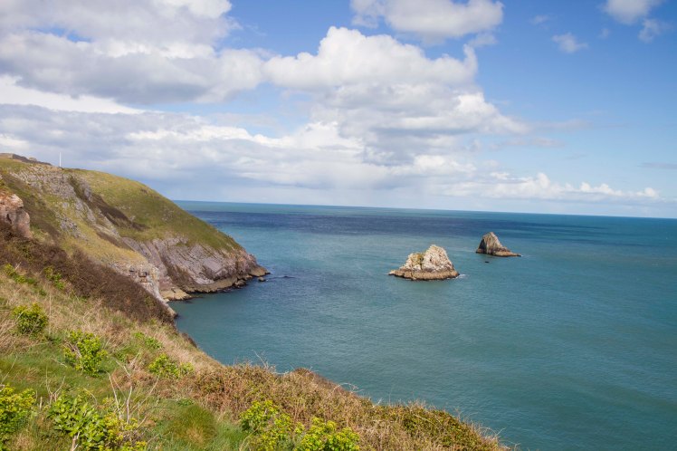 BrixhamBerryHead_024