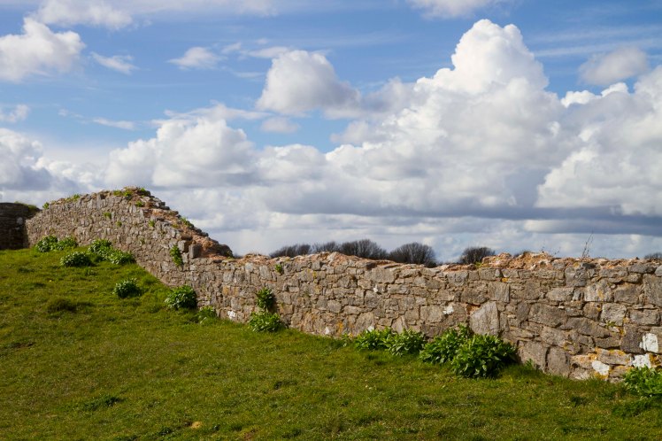 BrixhamBerryHead_033