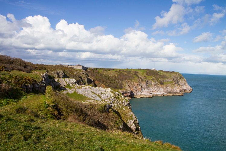 BrixhamBerryHead_044