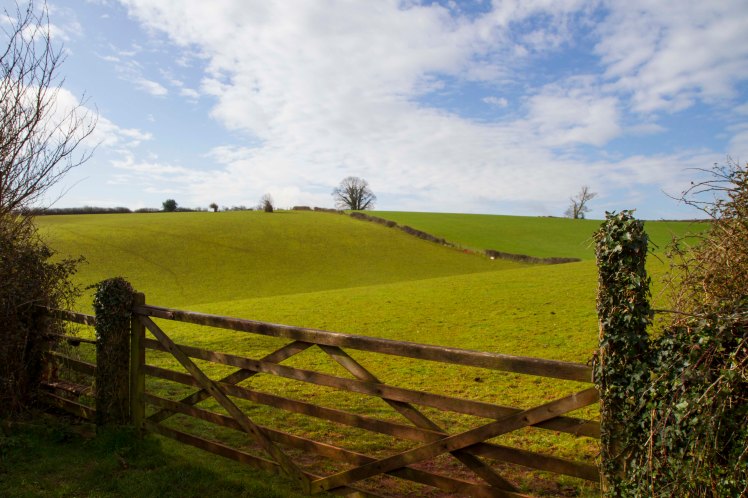 Cockington Valley_001.jpg