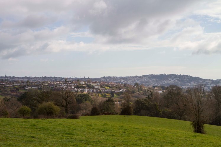 Cockington Valley_005.jpg