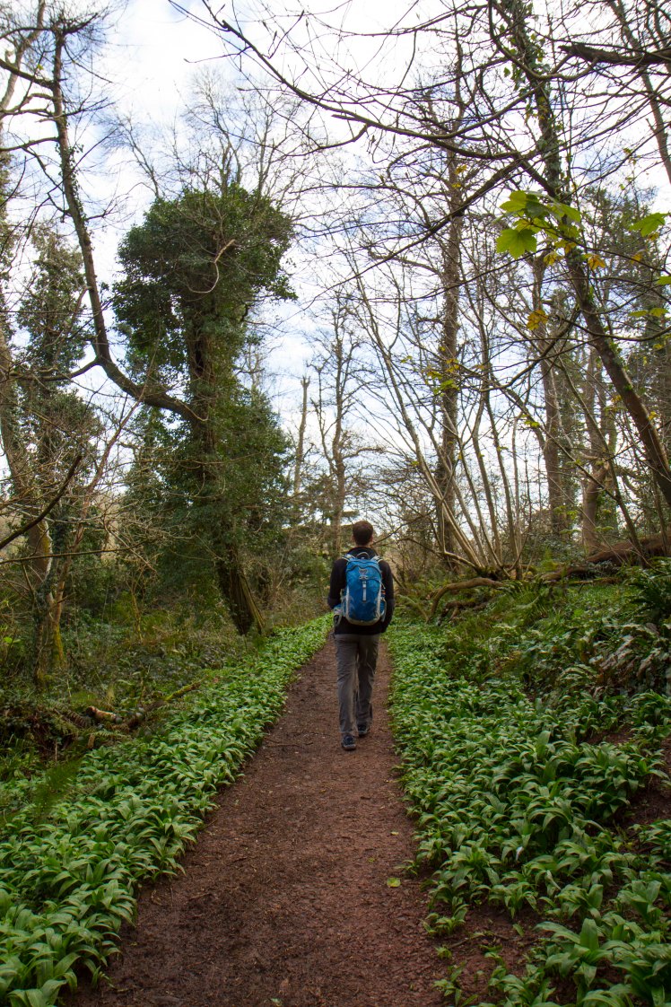 Cockington Valley_015.jpg