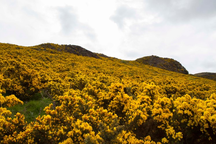 ArthursSeat_012