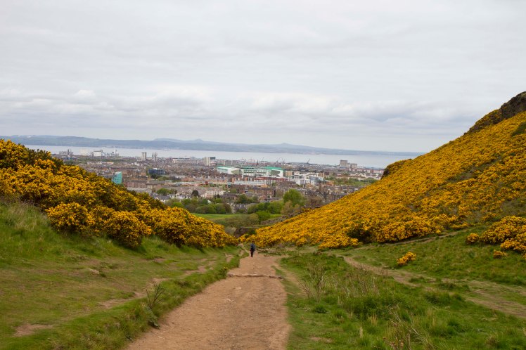 ArthursSeat_014