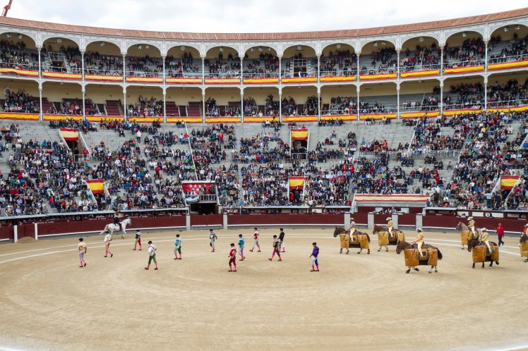 Bullfighting_013