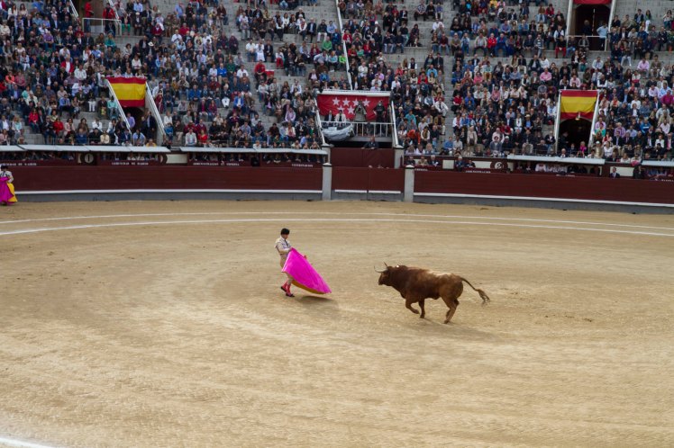 Bullfighting_016