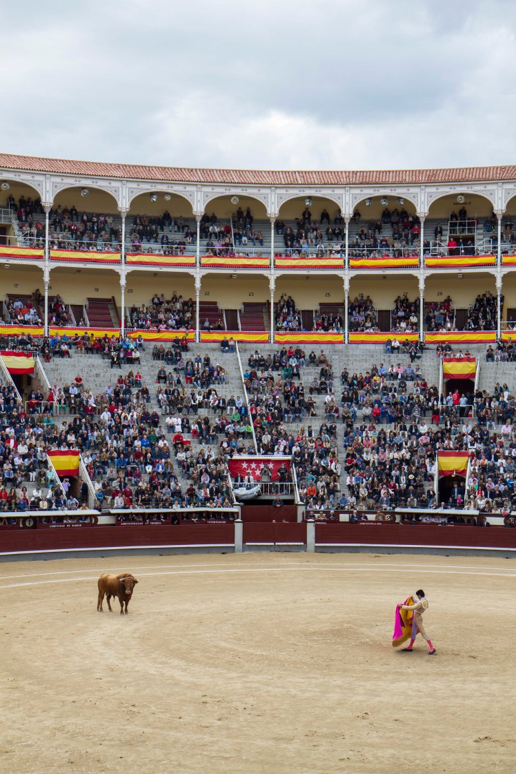 Bullfighting_022