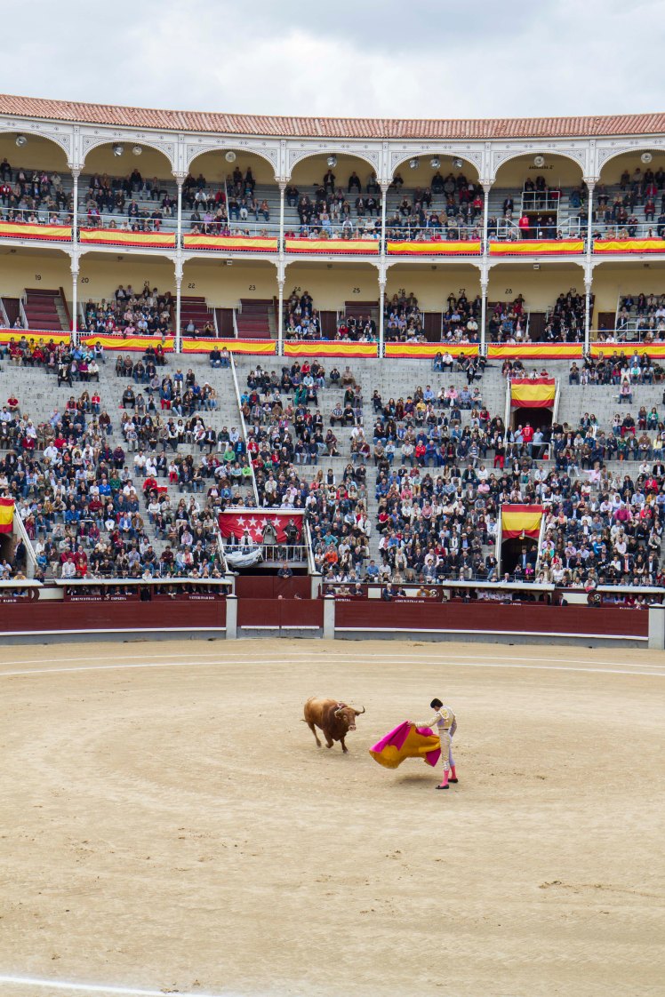 Bullfighting_023
