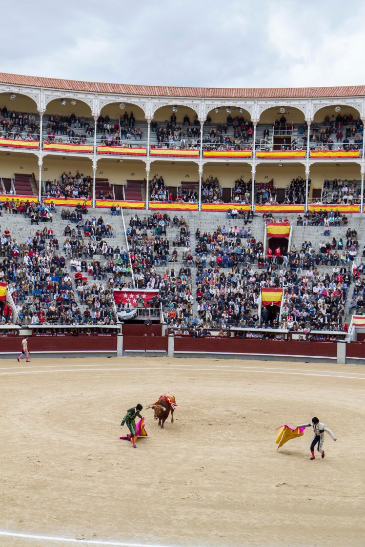 Bullfighting_030