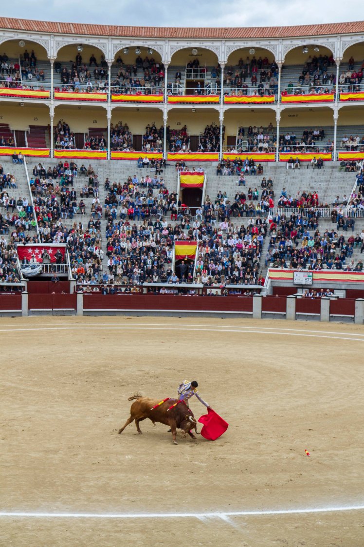 Bullfighting_033