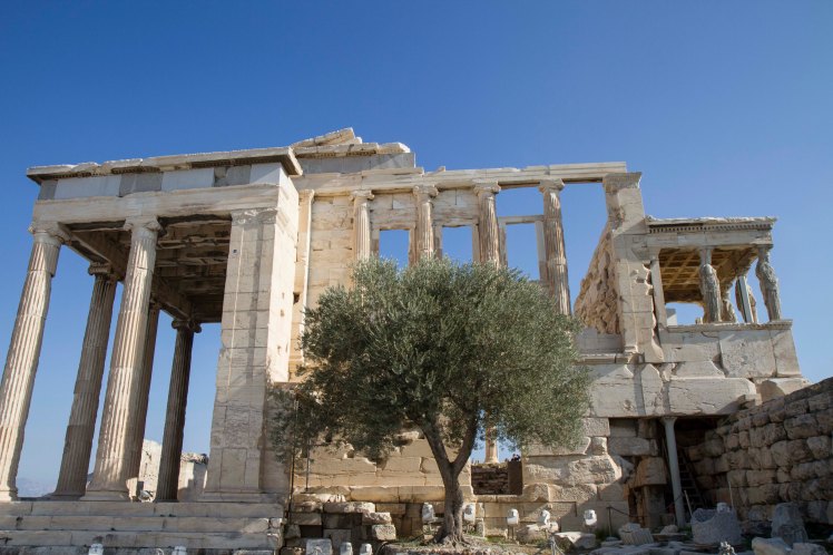 Acropolis_019